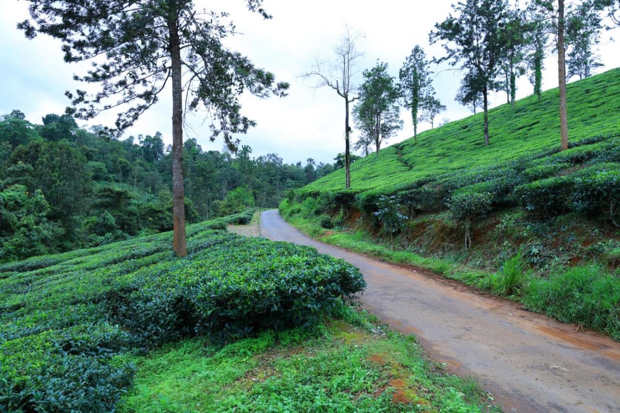 Green View Holiday Home Vythiri Bagian luar foto