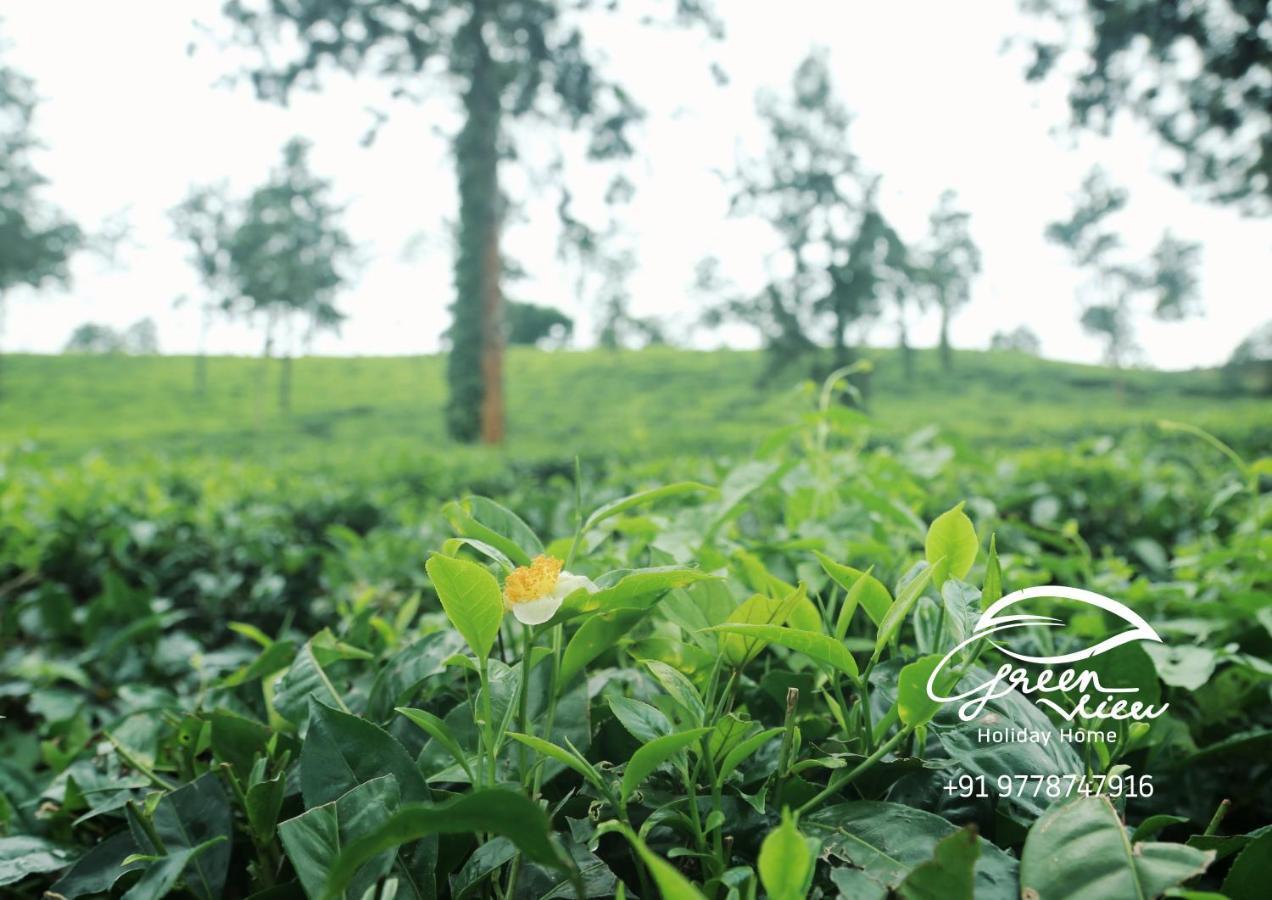 Green View Holiday Home Vythiri Bagian luar foto
