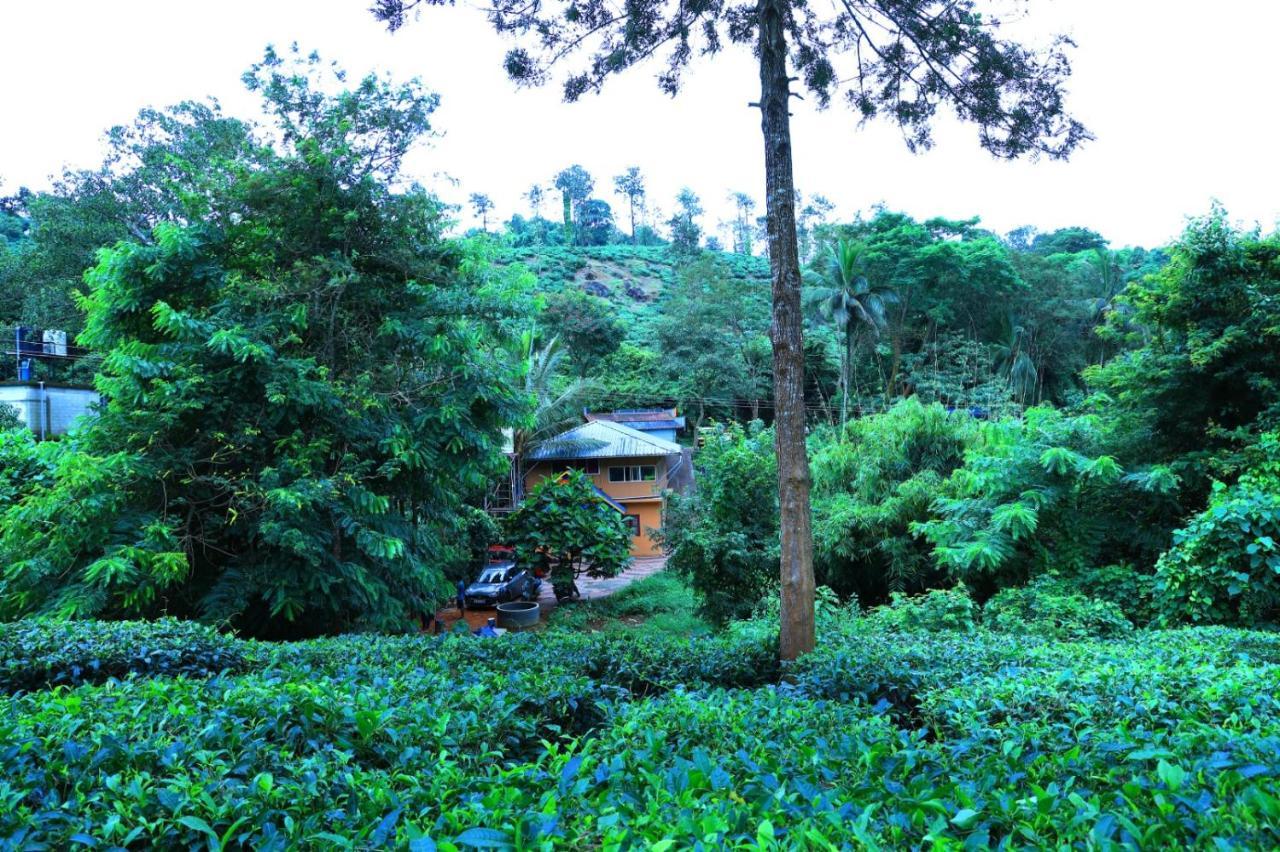 Green View Holiday Home Vythiri Bagian luar foto