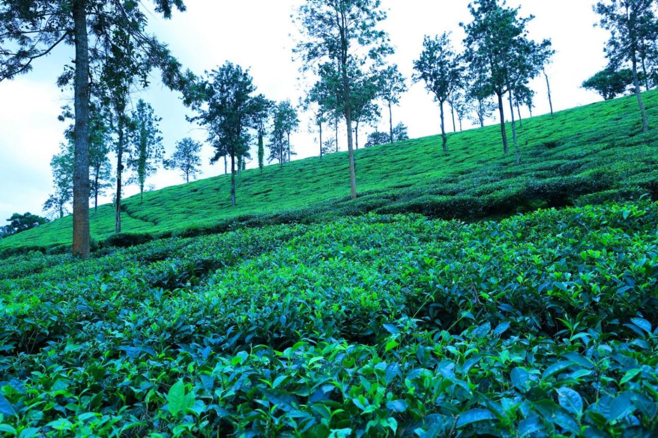 Green View Holiday Home Vythiri Bagian luar foto