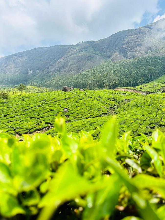 Green View Holiday Home Vythiri Bagian luar foto